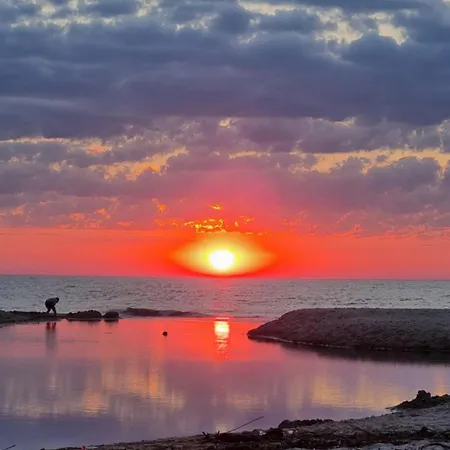 Mobile - Holenderski Przytulny, Wyposazony Z Ogrodzona Dzialka