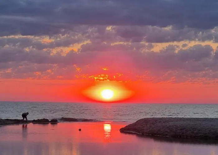 Mobile - Holenderski Przytulny, Wyposazony Z Ogrodzona Dzialka